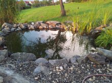 20120725_202716.jpg