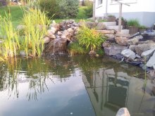 20120725_202735.jpg