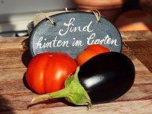 erste Ernte_SuperMaranda und Mini-Aubergine_smaller.jpg