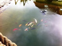 IMG_0614.jpg