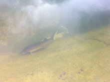 IMG_0630.jpg