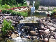 IMG_0714.jpg