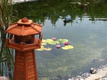 IMG_0690.jpg