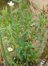 20120802_143544.jpg