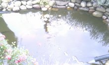 IMAG0743.jpg