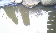 IMAG0745.jpg