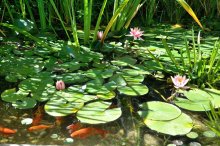 2012-08-19_11-56-20.jpg