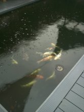 IMG571.jpg