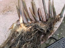 20120830_135744.jpg 20120830_135744.jpg