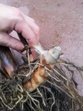 20120830_135811.jpg 20120830_135811.jpg