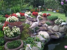 20120822_102909.jpg