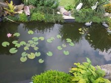 20120822_102915.jpg