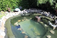 Teich_100.jpg Teich_100.jpg