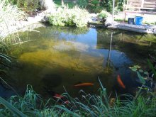 IMG_1975.jpg