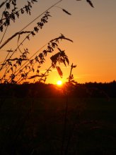 Sonnenuntergang 044t.jpg