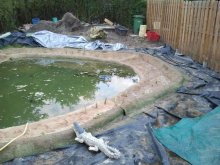 2012-09-29 18.47.10.jpg