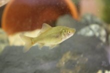 121003 - Aquarium 019.jpg