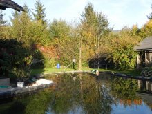 20.10.2012 075.jpg