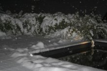 20121028_0854.jpg