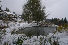 P1150810_2012-10-29_der-erste-Schnee.JPG