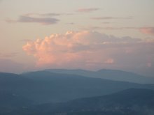 IMG_5446.jpg