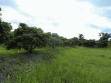 SAM_1469.jpg