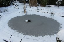 IMG_0037.jpg