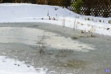 comp_IMG_20121215_3694.jpg