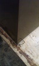 IMAG0203.jpg