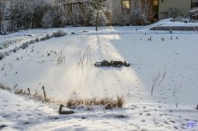 comp_IMG_20130115_3824.jpg
