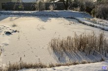 comp_IMG_20130115_3820.jpg