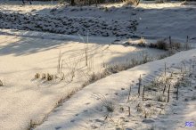 comp_IMG_20130115_3816.jpg