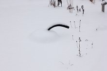 Eisfreihalter unter Schnee_640.JPG