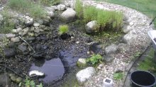 IMAG0060.jpg
