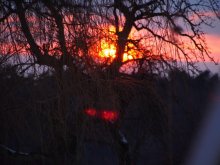 Sonnenuntergang März_052.jpg