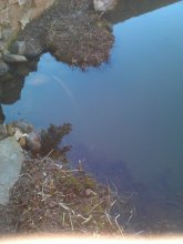 IMG_20130407_180658.jpg