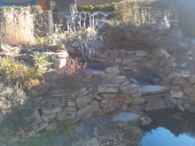 IMG_20130407_180738.jpg