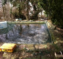 IMG_0107.JPG