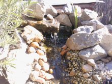 WP_000707.jpg