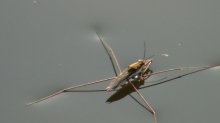 DSC00138.jpg