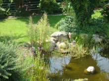 DSC01758.jpg