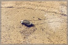 comp_IMG_20130428_4522-2.jpg
