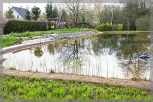 comp_IMG_20130428_4524-3.jpg