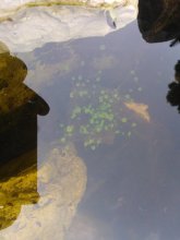 WP_000752.jpg