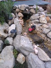 WP_000759.jpg