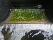 20130502_160308_5.jpg