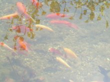 100_5353.jpg