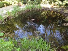 Foto 3.jpg