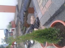 IMG_20130506_195208-350786272.jpg