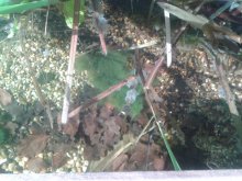 2013-05-05 17.58.17.jpg